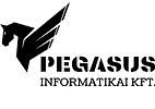 Pegasus Informatikai Kft. – Intézményi takarító és kisegítő